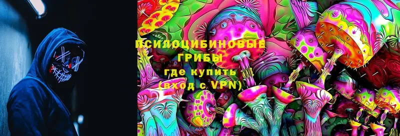 Галлюциногенные грибы Magic Shrooms  Щучье 